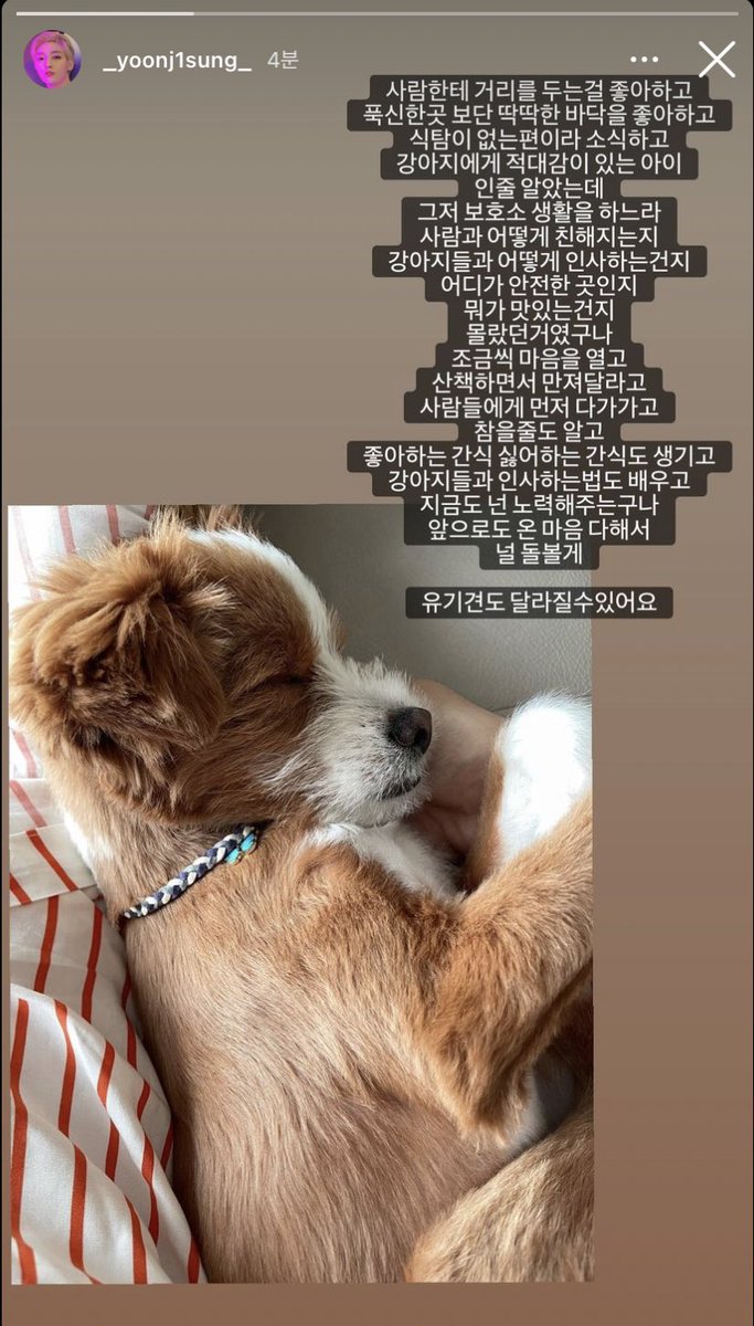 Whis_Loong's tweet photo. 스토리 보고 눈물 흘리는 중😭 https://t.co/cahgY2gWoa