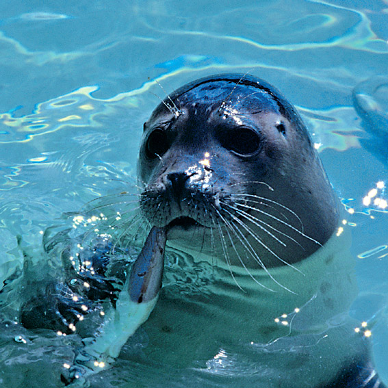 Reise Know-How tweet media