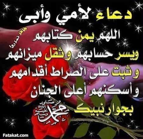 ملايكةصغيرة tweet media