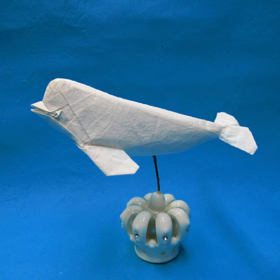そめおり 染折 Design 平原 祐輔さん Yusuke Hirahara シロイルカ Beluga 35cm 折り紙作品 究極のおりがみ T Co J80yxcc06i Twitter そめおり 染折 Design 平原 祐輔さん Yusuke Hirahara シロイルカ Beluga 35cm 折り紙作品 究極のおりがみ T Co J80yxcc06i Twitter