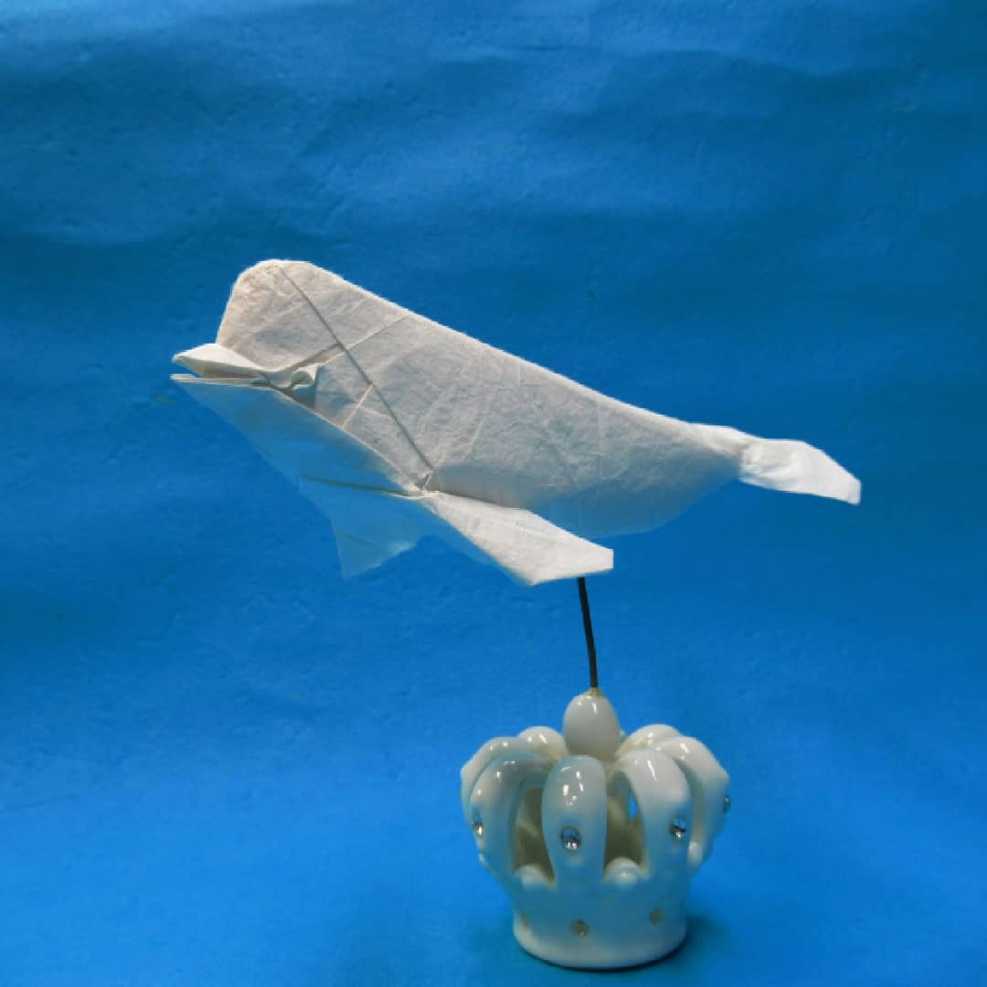 そめおり 染折 Design 平原 祐輔さん Yusuke Hirahara シロイルカ Beluga 35cm 折り紙作品 究極のおりがみ T Co J80yxcc06i Twitter そめおり 染折 Design 平原 祐輔さん Yusuke Hirahara シロイルカ Beluga 35cm 折り紙作品 究極のおりがみ T Co J80yxcc06i Twitter