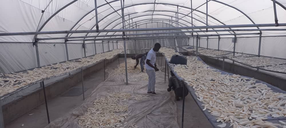 One of the most important enablers of bridging policy-implementation divide is empirical data that proves effectiveness of climate solutions on the ground. Data of #Solardryers efficacy in cutting postharvest losses, while creating opportunities for youth, and cutting emissions