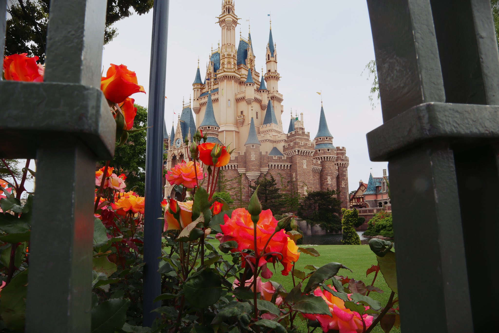 らいとんと どっちも好きな世界 Disneyland ディズニーランド Disneysea ディズニーシー モノクロ写真 ディズニーカメラ部 好きな世界 T Co 0qhu5mszs7 Twitter