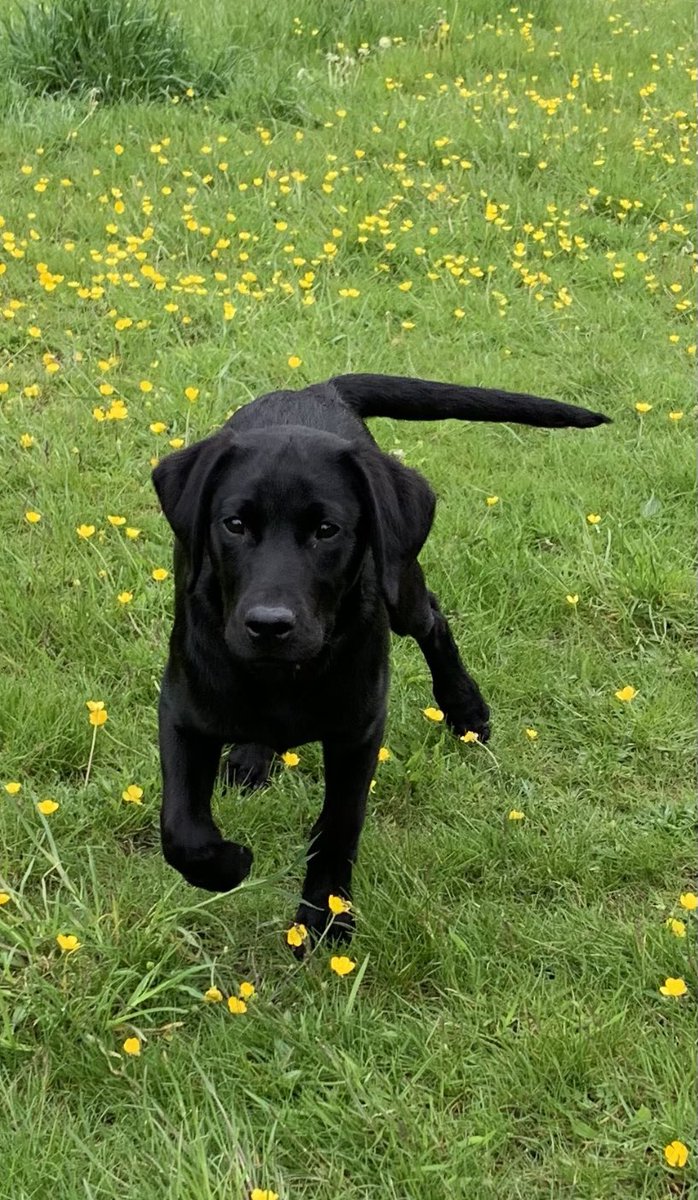 bes502's tweet photo. Why exercise? 
Because its damn good for us!
But just like Porter, it is important to start slowly and let your body get used to it. Harder &amp; faster is not necessarily better. #LoveExercise have fun and make it a daily habit #ExerciseIsMedicine #HeartHealth ❤️ @ShrillaB https://t.co/yUzwohUzdK