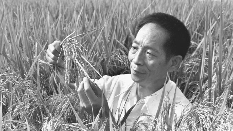 People's Daily, China tweet media