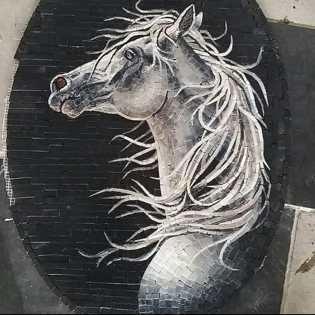 #خيل #احصنه #خيول #خليج #قطر #السعودية #الامارات #دبي #جداريات
