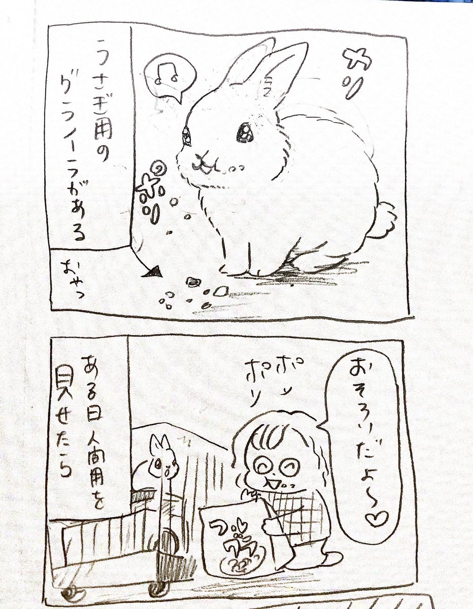 うさぎとフルグラ 