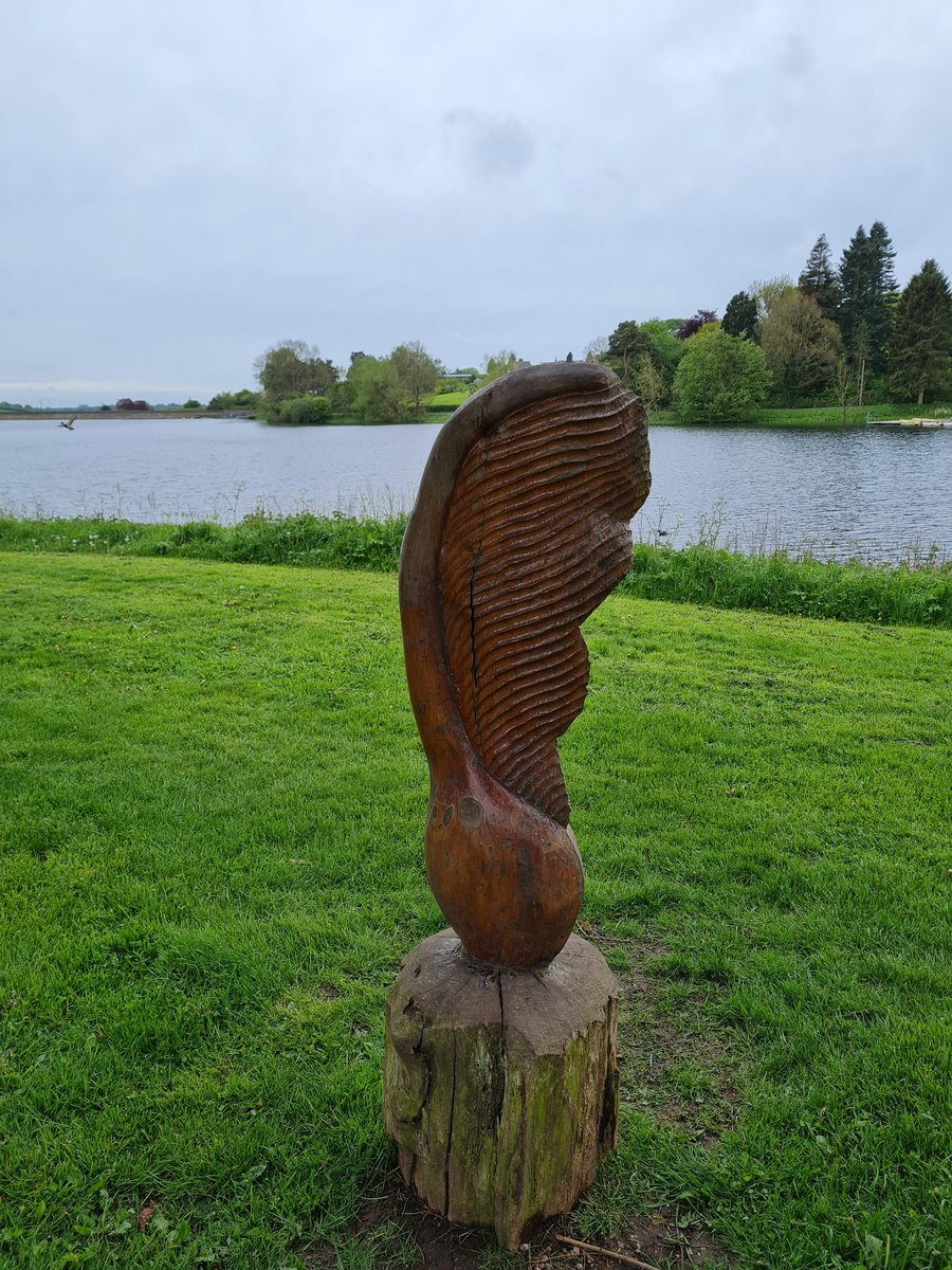 C_MouseWalks's tweet photo. Thornton reservoir filming walk this morning #virtualtour #walking #sundaywalk #walkingtour #springwalk 🚶‍♀️🚶‍♂️🚶‍♀️ https://t.co/QiflYxDO44
