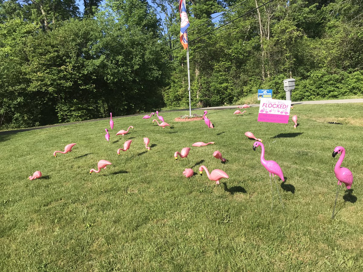 We’ve been “Flocked”!!!