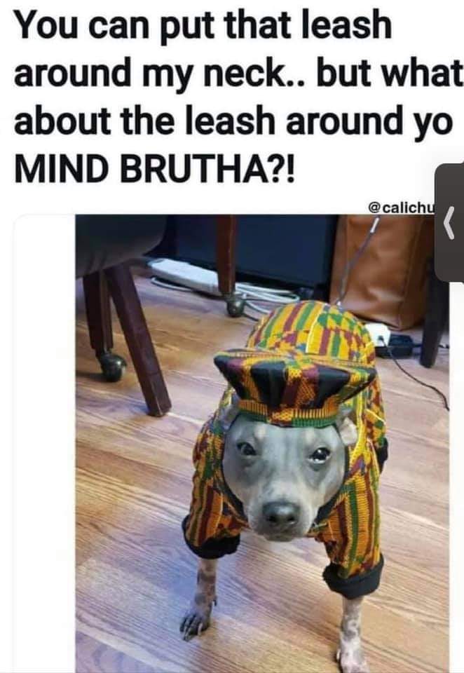 🤣🤣🤣🤣🤣🤣🤣🤣 Bruh lol