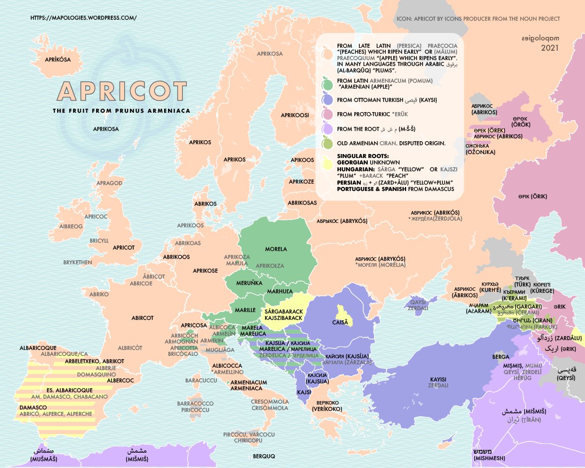 OnlMaps on Twitter "Etymology map of Apricot.Other fruits by