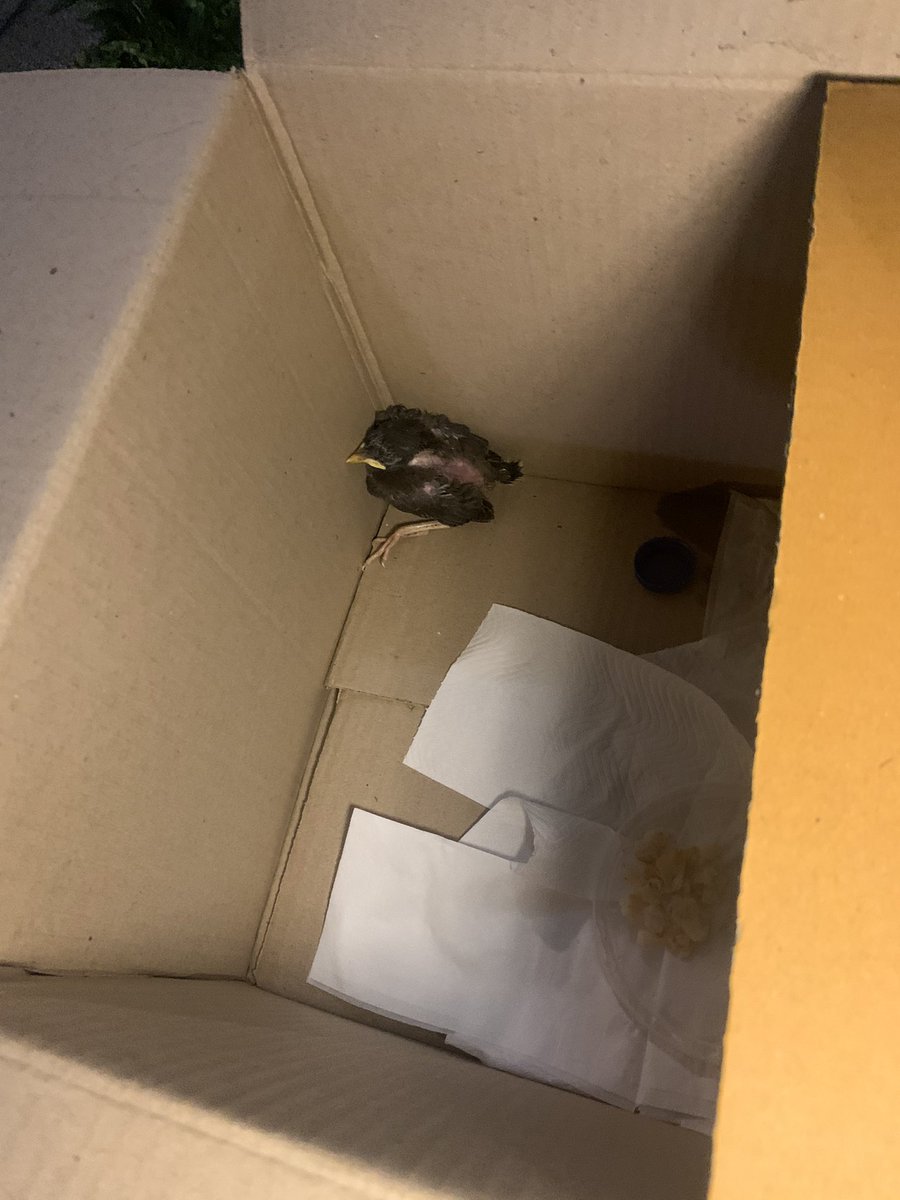 CTR2DAB's tweet image. แบบนี้คับ