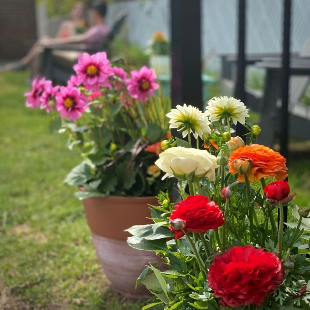 SuhruWines's tweet photo. Another beautiful day on the North Fork! 🌻 Spring has brought a ton of color which we love to see ⁣😍
⁣
How will you be spending your Sunday?⁣
⁣⁣
#suhruwines #tastingroom #tastinghouse #northfork  #northforkwineries #flowers #bluskies https://t.co/uz8CHvqhpN