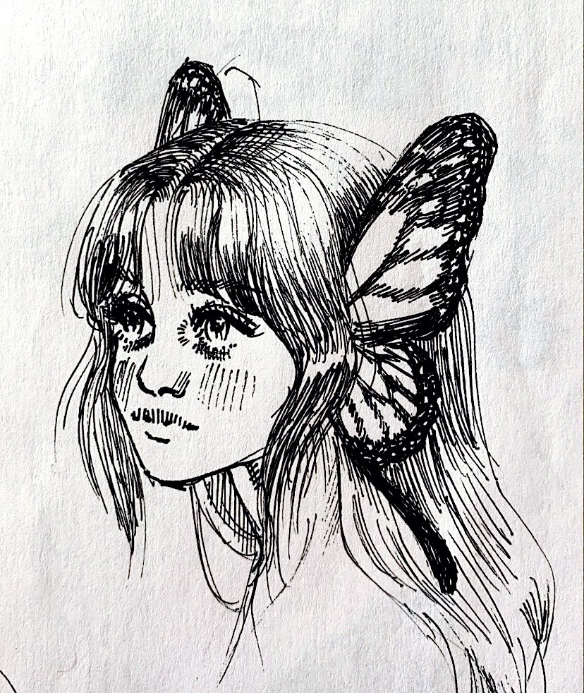Butterfly sketch 