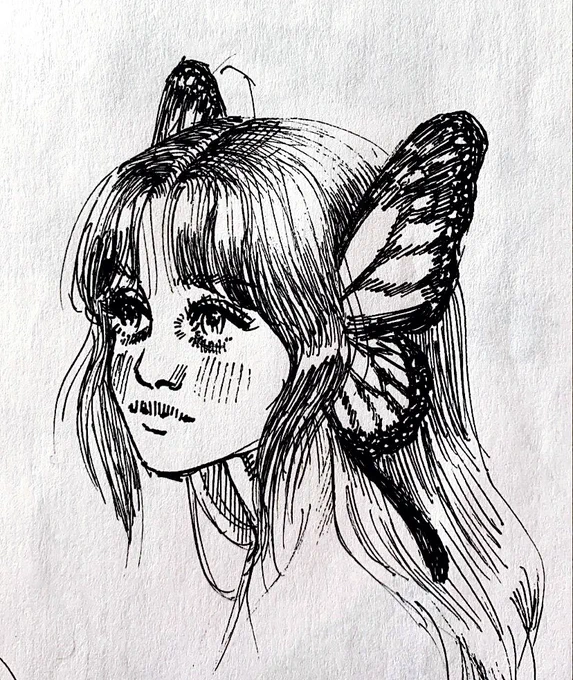 Butterfly sketch 