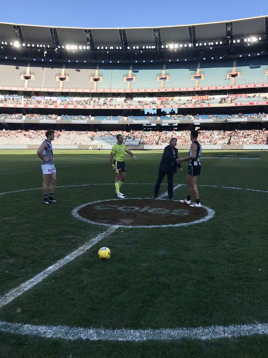 RD Stinga 🐝 tweet media