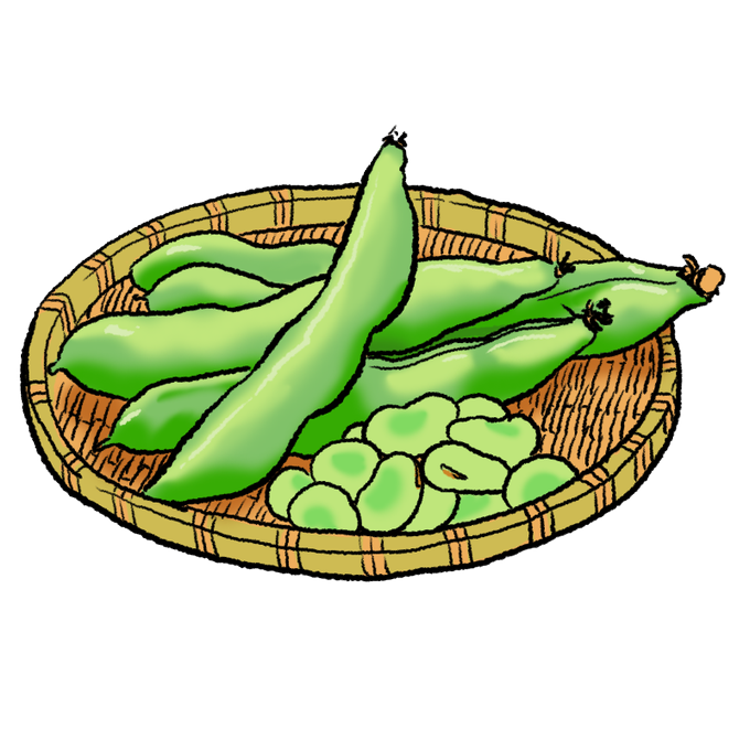 そら豆のtwitterイラスト検索結果