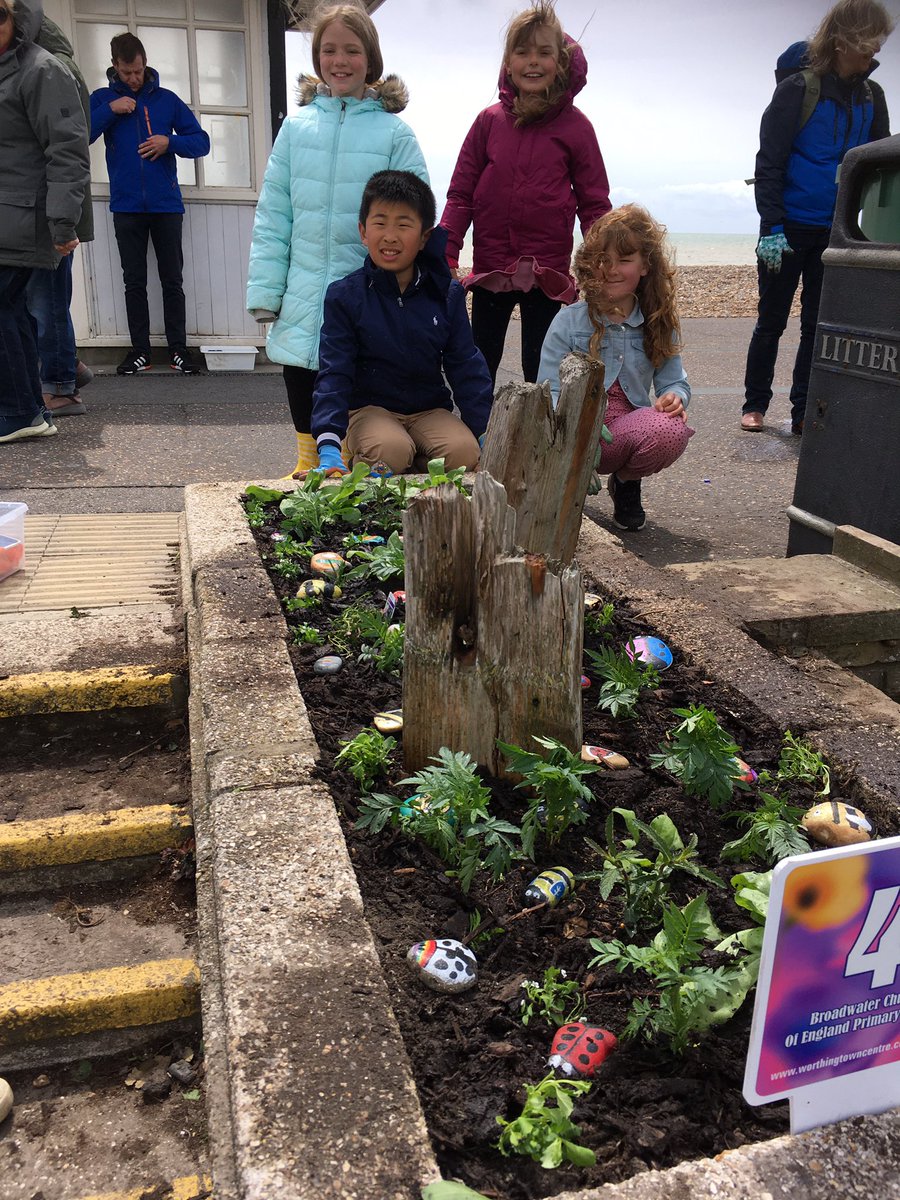 broadwaterce's tweet photo. Well done Eco Council for a fantastic morning planting on the seafront.  Adding the painted stones by Year 5 made it bright and colourful. It looks amazing! https://t.co/2F92deXAiB