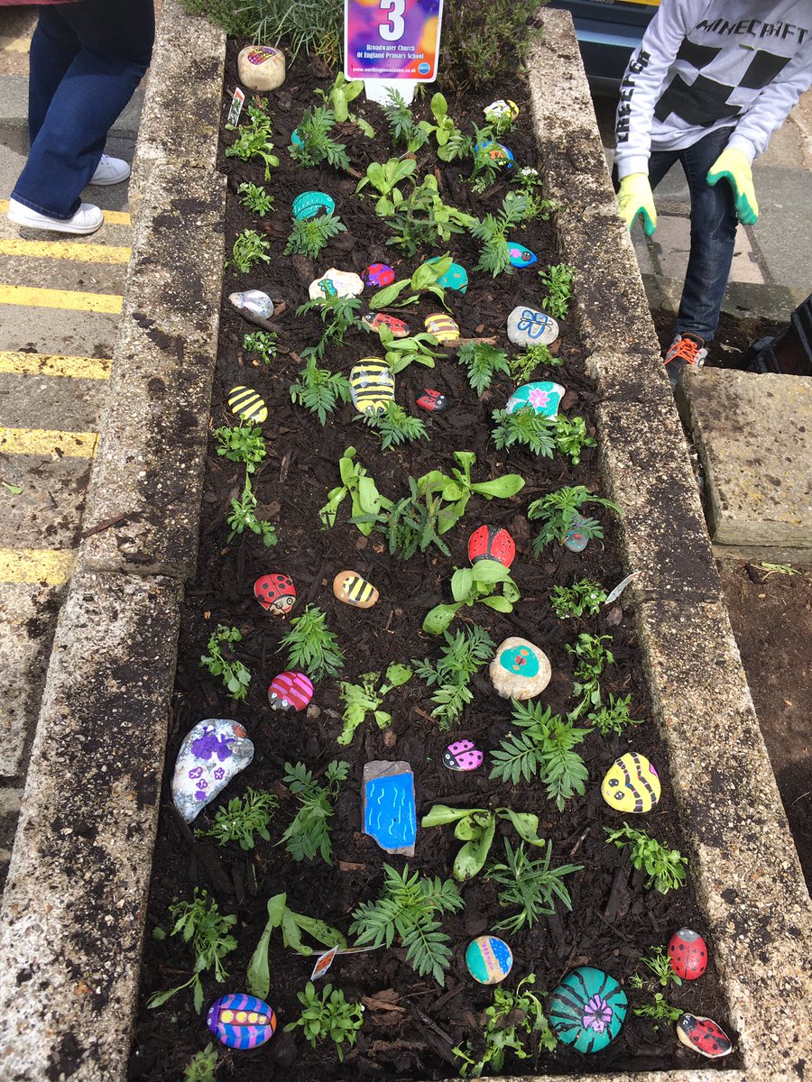 broadwaterce's tweet photo. Well done Eco Council for a fantastic morning planting on the seafront.  Adding the painted stones by Year 5 made it bright and colourful. It looks amazing! https://t.co/2F92deXAiB