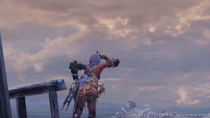 モンハン写真部 