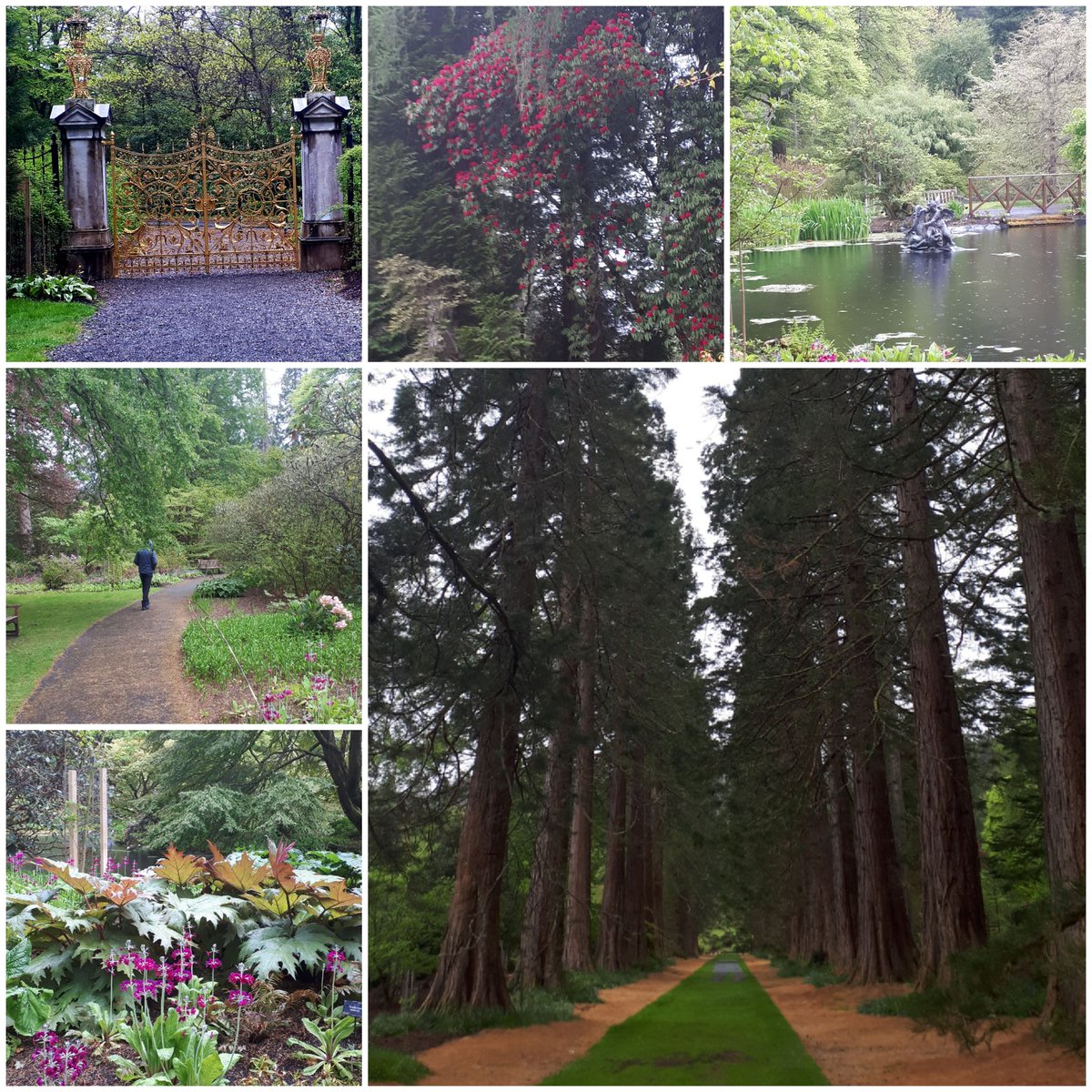 Day Trip to Benmore Botanical Gardens #redwoodtrees #lochlomondandtrossachsnationalpark