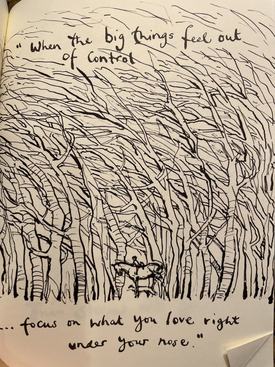 WesElyMD tweet media