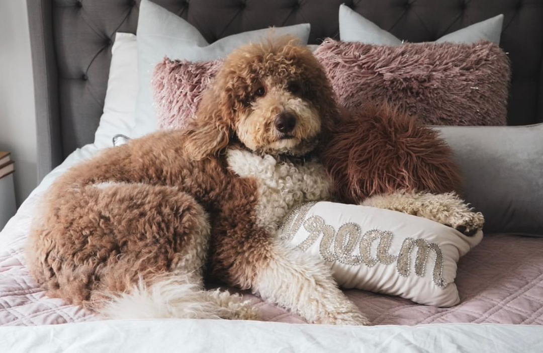 Sheree Ladove Funsch tweet media