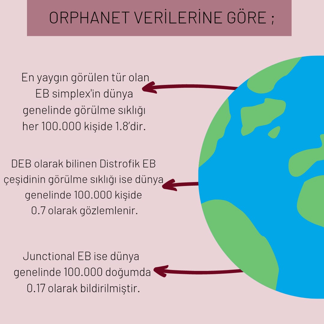 team_7therapy's tweet photo. EB' nin Görülme Sıklığı Nedir?
@RaDiChallenge
@CihanTastan_PhD

Kaynak: Orphanet Report Series- Prevalence and Incidence of Rare Diseases https://t.co/4EaSrX4LbY