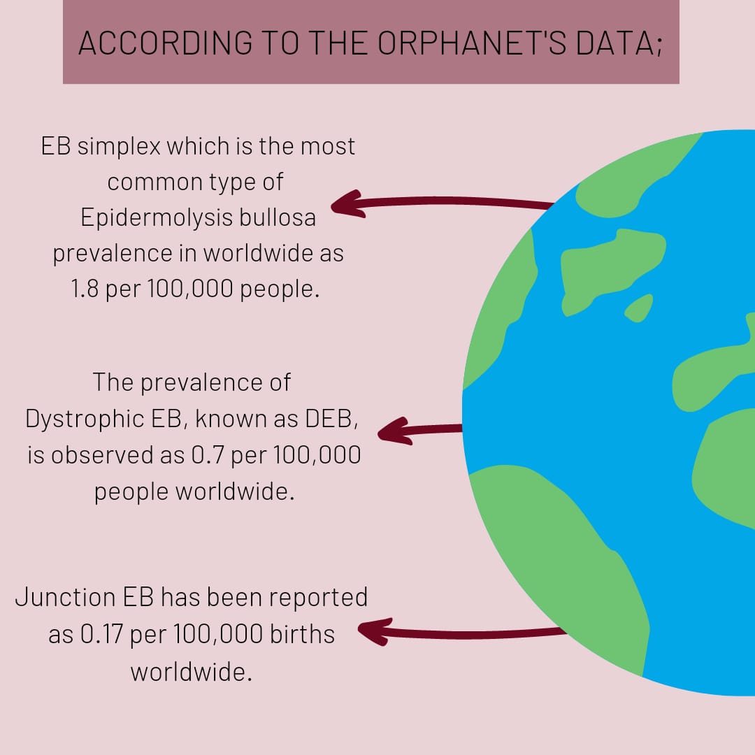 team_7therapy's tweet photo. EB' nin Görülme Sıklığı Nedir?
@RaDiChallenge
@CihanTastan_PhD

Kaynak: Orphanet Report Series- Prevalence and Incidence of Rare Diseases https://t.co/4EaSrX4LbY