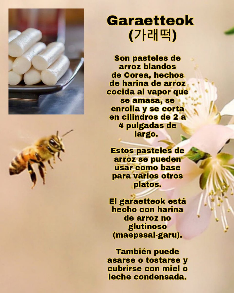KpopworldOng's tweet photo. 🐝K-FOOD

1/2

#food #corea #kpop #cooking #gourmet #koreandood #eat #Cook #kpop #kpopcultura #kpopdance #kpopers #ong #culturacoreana #kpopcover #kpopchileoficial #world #mision #jovenes #inclusion #kpopONG #coreadelsur #korea #cultura https://t.co/PwsygcW9BE