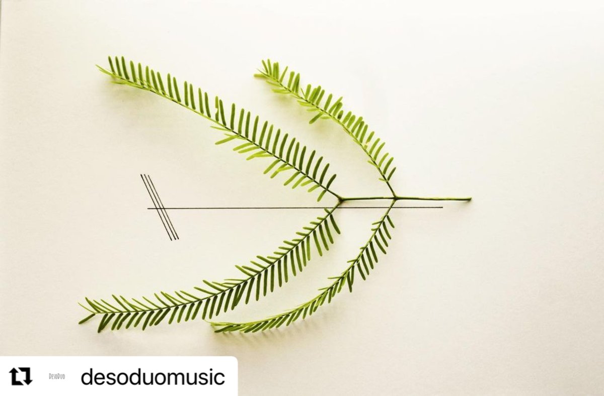 musicforinbox's tweet photo. @katieeikam has been making amazing graphic scores. Ten of her Desert Flower scores were performed by 
@deso_duo and are available on their YouTube channel [MFYI Nov 2020: Correspond] 

https://t.co/RoOk53LkT9 https://t.co/aTTEfrWj52