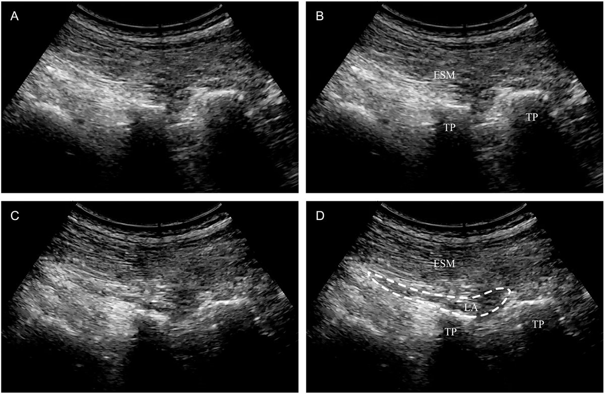 Deepak Sharma tweet media