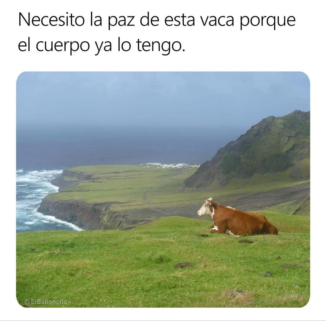 👌🏻😌 Namaste