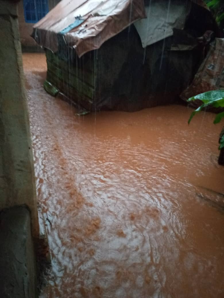 NwaAgbedo's tweet photo. Youths of Umuadogwa, Umuida Enugu-Ezike cry out loud as they undergo destruction of crops, loss of livestock, property,&amp; at times loss of lives owing to heavy flood.A  visit to this Community would leave one in a shock at the level of flood after rain @Cinyforum @GovUgwuanyiNews https://t.co/vBGZx5xerH