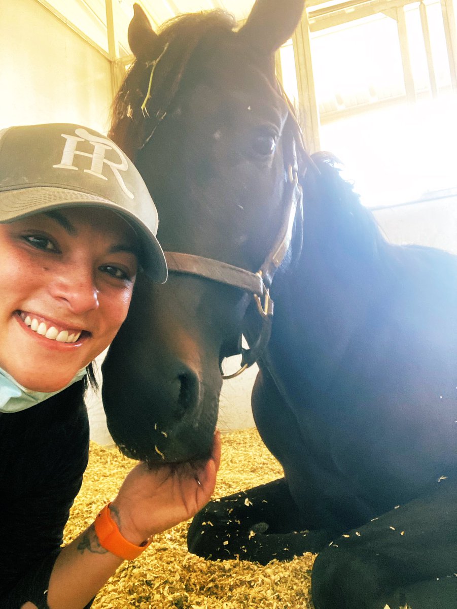 TheMichelleYu's tweet photo. Baby snuggles this morning! @CalumetFarm #BalABali https://t.co/jLs2ayE7U0