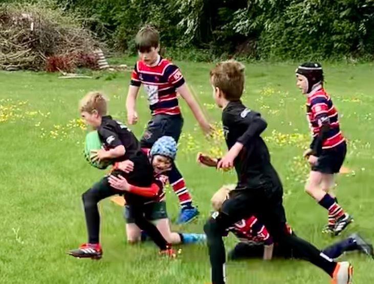 Grove RFC Youth tweet media