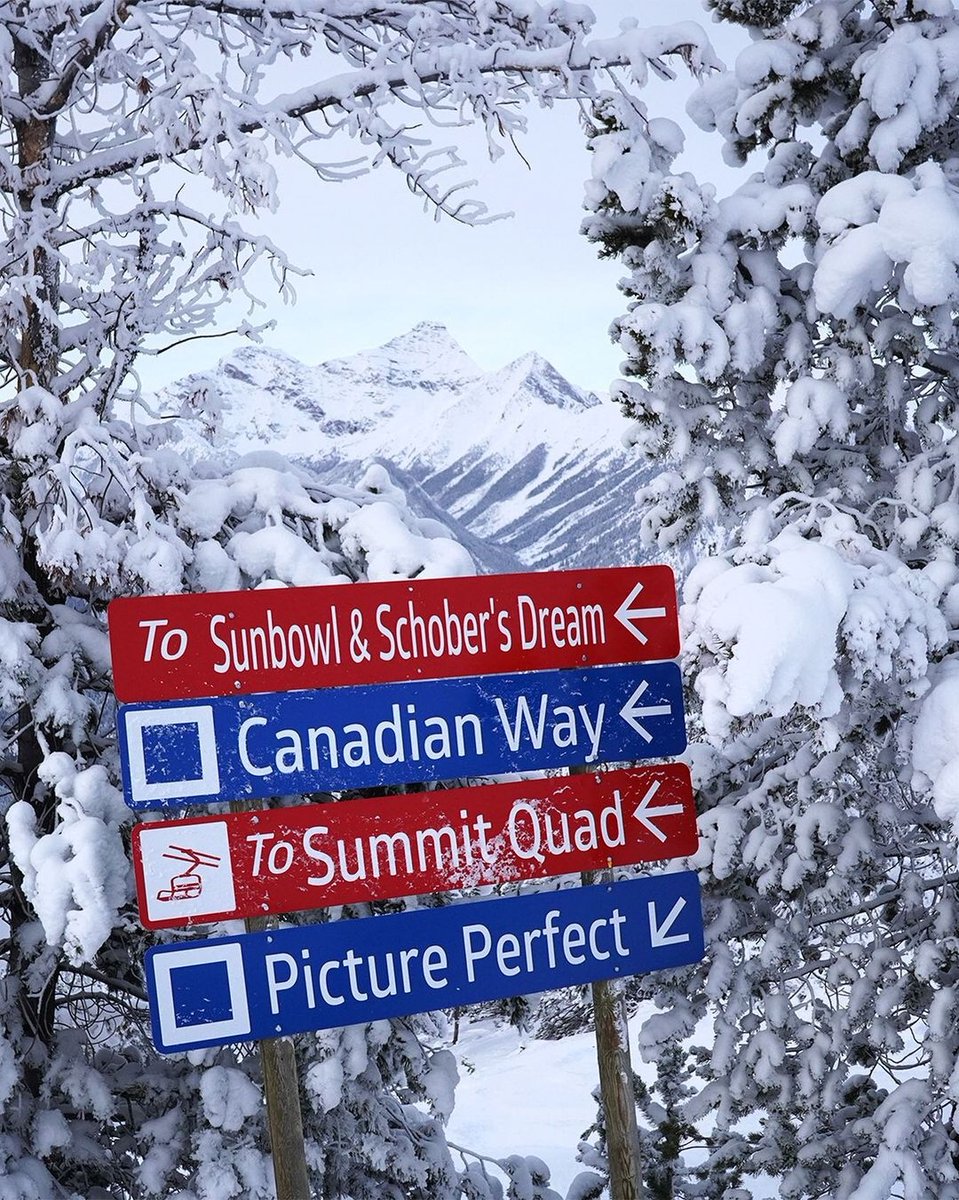 CollectivePass's tweet photo. Something about this photo tells us this TMC resort is proud to be #PureCanadian
Put your guess for today’s #collectivemystery in the comments below! https://t.co/HSm6RsTNOT