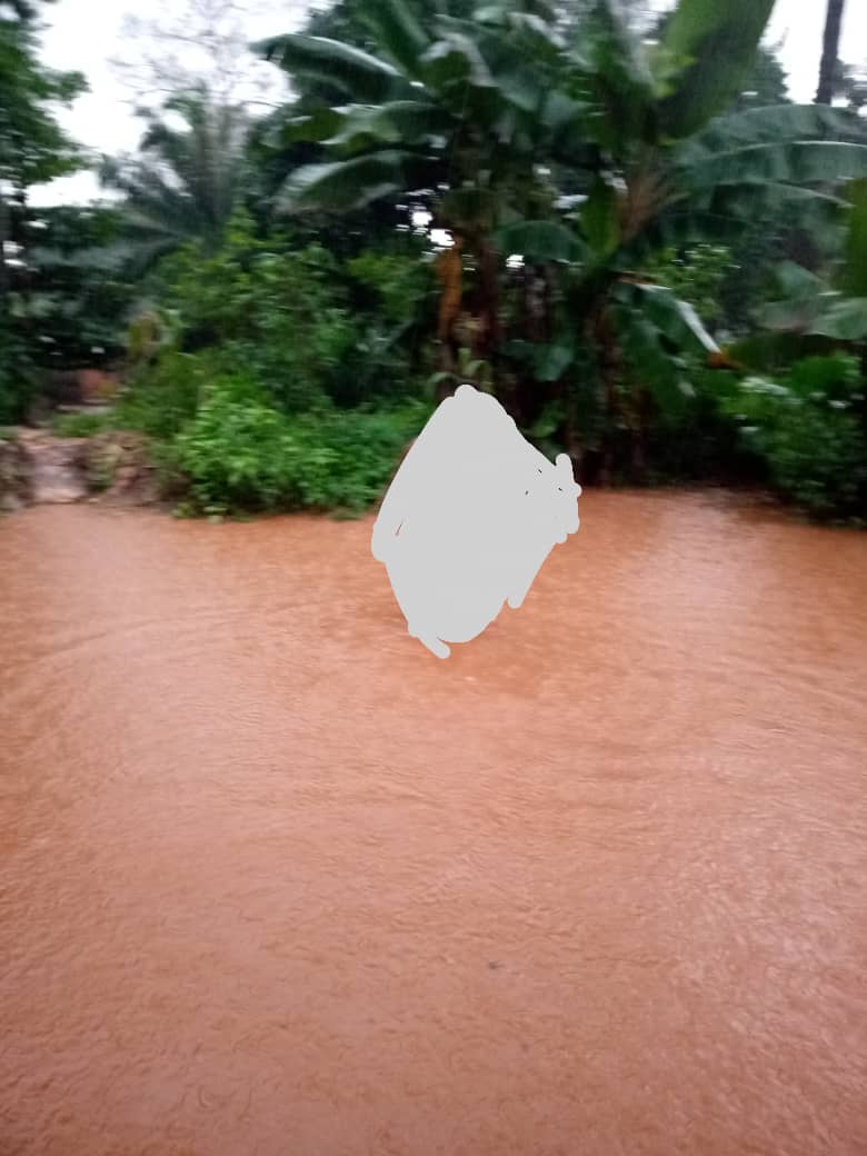 NwaAgbedo's tweet photo. Youths of Umuadogwa, Umuida Enugu-Ezike cry out loud as they undergo destruction of crops, loss of livestock, property,&amp; at times loss of lives owing to heavy flood.A  visit to this Community would leave one in a shock at the level of flood after rain @Cinyforum @GovUgwuanyiNews https://t.co/e94CyNMDAD