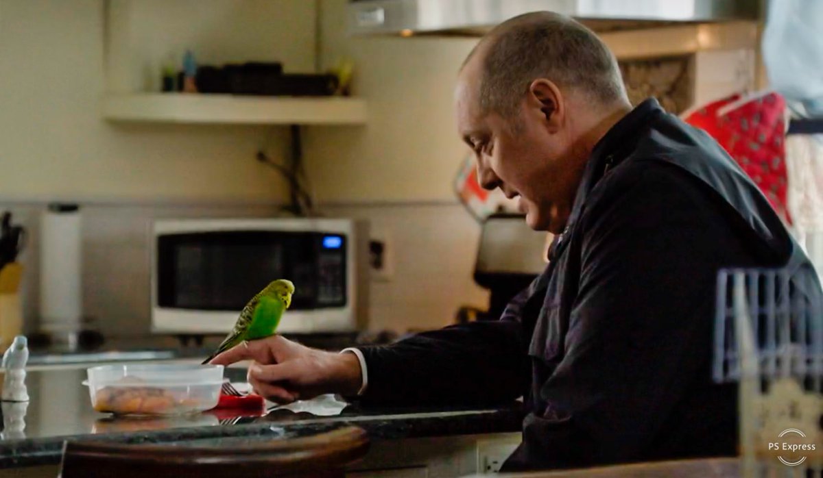 imyourplusone's tweet photo. Red and Mr Beaks
#TheBlacklist https://t.co/2gBqmJnSZc