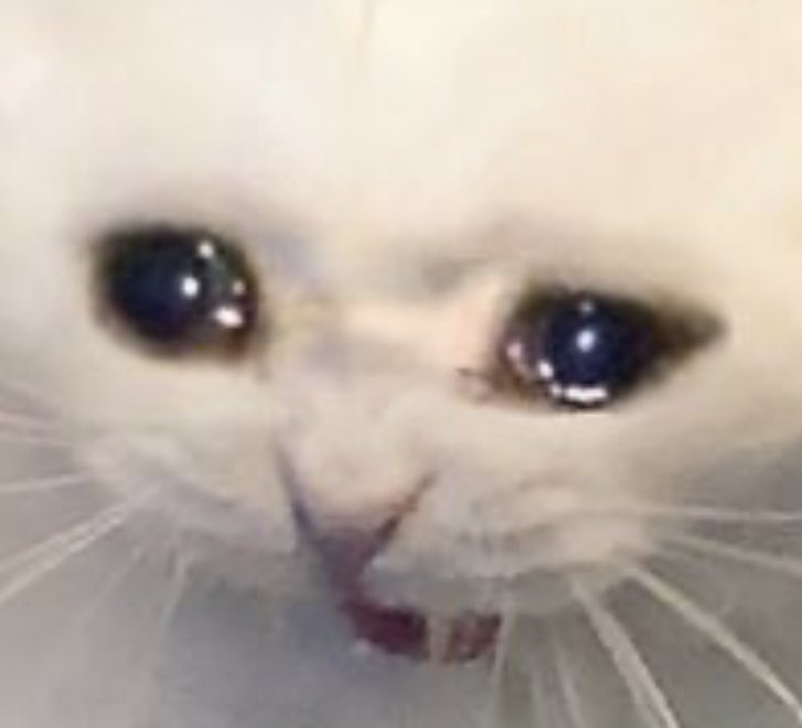 Lynsithea's tweet photo. @miwafell i just want
i just want xiv to give me a single drop from 12s https://t.co/keCZBxUP01