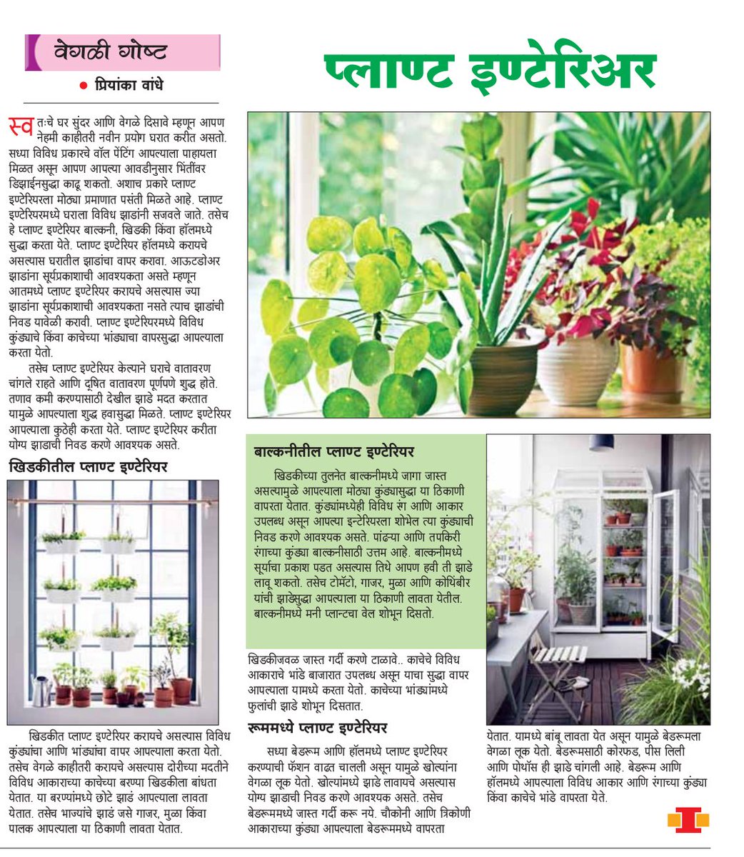 PriyankaWandhe's tweet photo. πMy Article published on"Plant Interior"π
#Plants #PlantInterior #Interior #WindowPlants #BalconyPlants #RoomPlants #Hangingterrariums #Homedecoration #HomeDecor #needmoreplants #Plantgoals #Plantsshelf #OxygengivingPlants #Plantsmakepeoplehappy #Loveplants #Plantsgang #healthy https://t.co/iMigNrS5CM