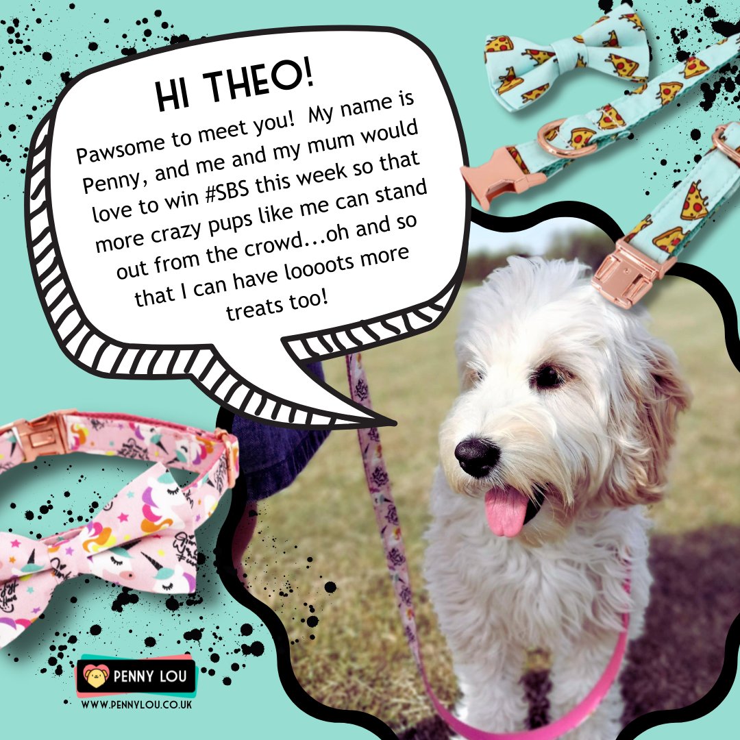<a href="/TheoPaphitis/">Theo Paphitis</a> Hi <a href="/TheoPaphitis/">Theo Paphitis</a> I'm Louise, the owner at Penny Lou, which is a bright and bold dog accessory company who help pup's and their owner's show off their personality. An #sbs win would mean the world and help us to grow are little business into something amazing!
