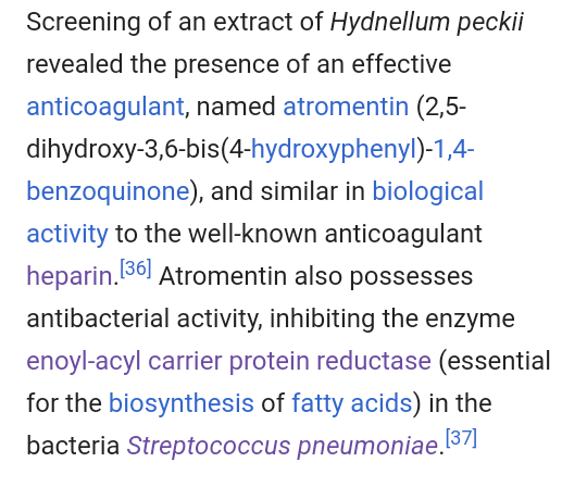 AzcurrainMaria's tweet photo. There are some who say that it is edible, and some say that it isn't, although I've read that it's almost impossible to enjoy it due to it's bitter and extremely spicy flavor.
From wikipedia: https://t.co/uYGmH2O0Jw