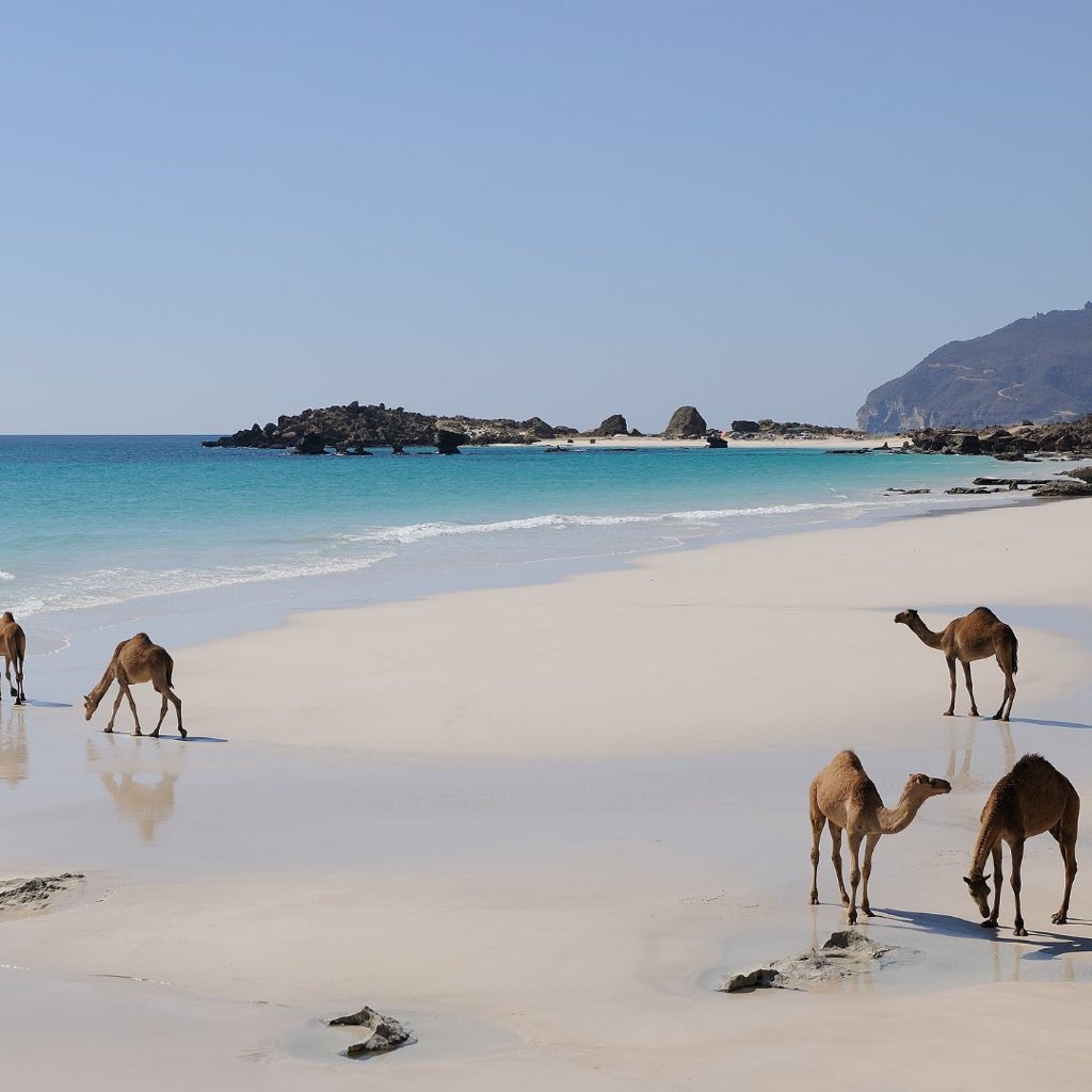 Arabbeau's tweet photo. OMAN https://t.co/edZYmPZaDB