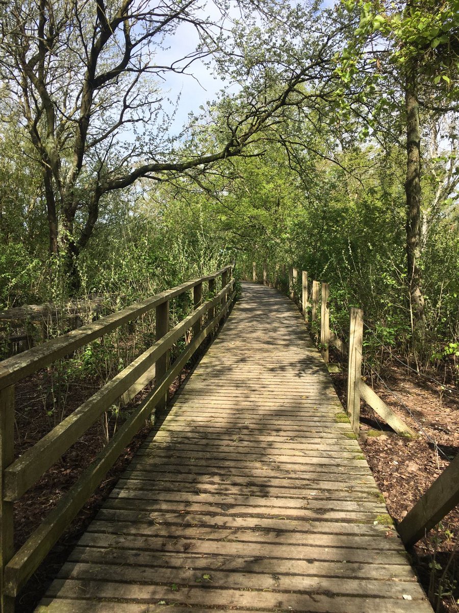 knipskasje's tweet photo. Ans en ödder ütjluk bi a fögelkui Meeram. 
(Mal ein anderer Ausblick bei der #Vogelkoje Meeram.) 
#Amrum #Nordfriesland #Meer #Urlaub https://t.co/QpehK0NK8l