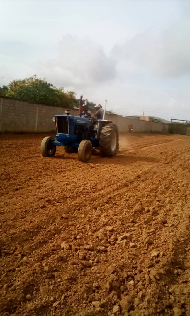 #23Mayo 
#ComunaActiva
Iniciamos ciclo de siembra de Maíz con semilla producida por @ComunaElMaizal gracias al intercambio económico comunal con la ATC Salsa de Tomate Arivacoa, esta se distribuirá en las tiendas comunales del Maizal.
@TatuyTv @UnionComunera @vargascarlos370