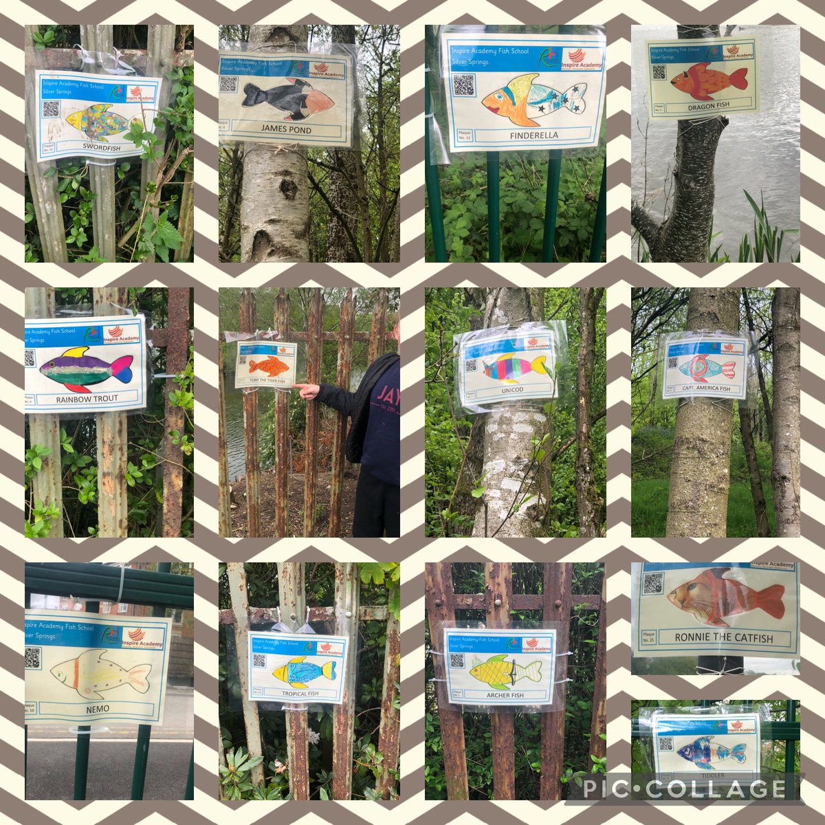 sherece_lord's tweet photo. Spent our Sunday afternoon finding fish! #fishtrail #silversprings @Inspire_Ashton @MrsHepworth_KS2 @TrustVictorious @Mr_Connaghan https://t.co/0QlBK1bqds