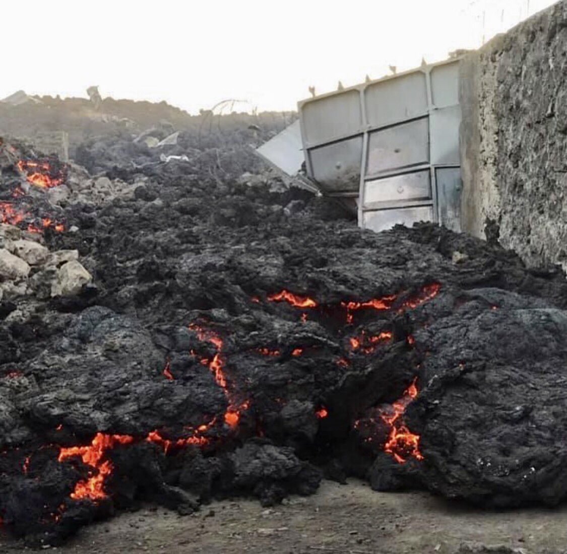 Asociación Tabaiba tweet media