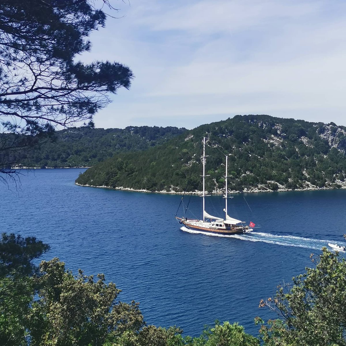 AdriaticChange's tweet photo. From its pristine panoramas, secluded coves and translucent seas Mljet feels like the spirits have aligned to bring perfection.
Whether you just want a weekend-break to top up your batteries or a month to go for the full-charge, #Mljet would be right choice 
#croatia @TZMljet https://t.co/7AxEQdI8Bd