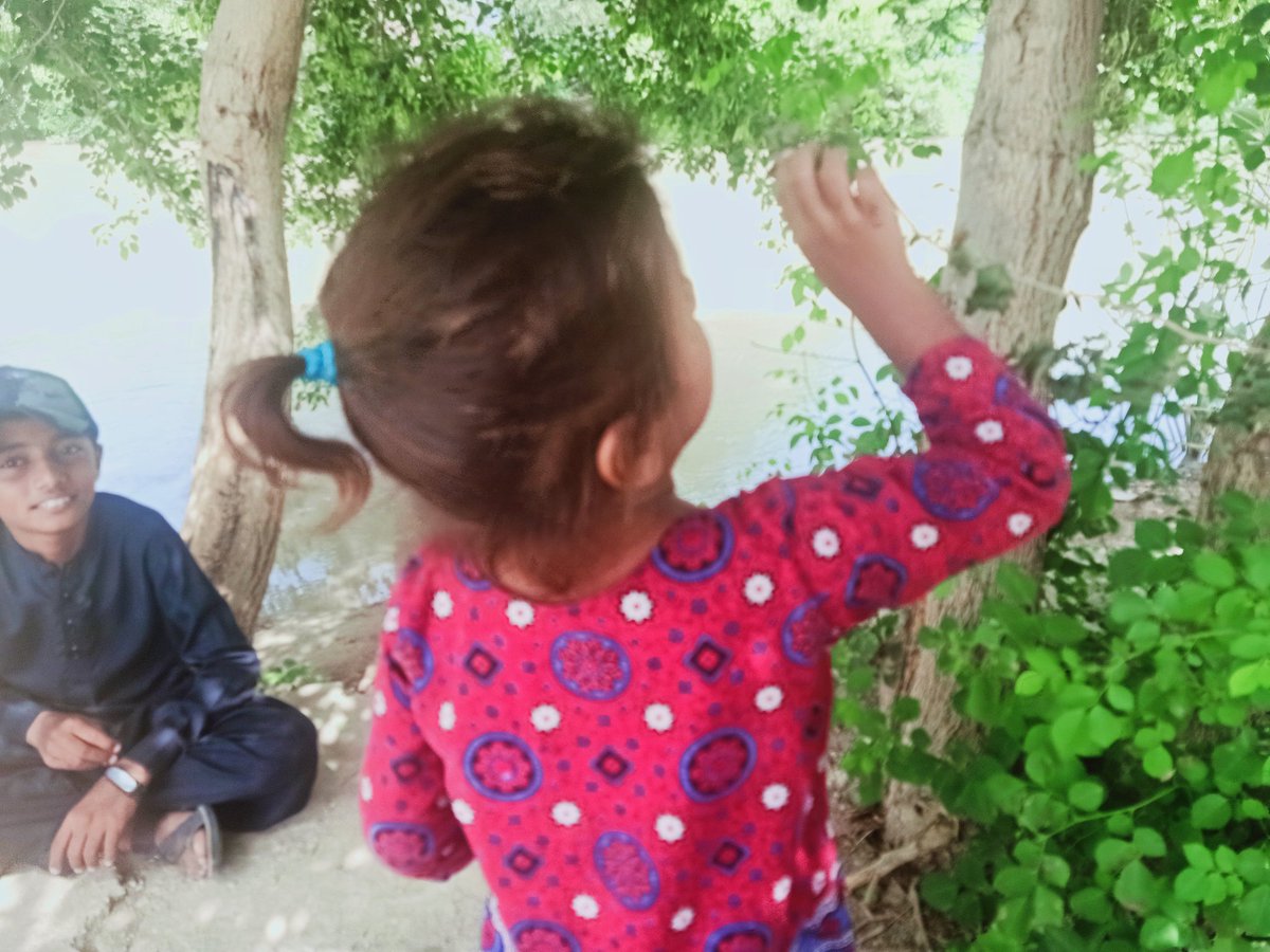HSamejo's tweet photo. Its blessing to find peaceful and beautiful place on your way.
#NaseerCanal #TandoAllahyar #Sindh https://t.co/fP4pR9u2C9